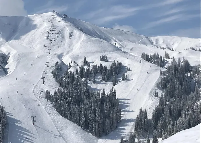 Appartement Central Kitzbühel